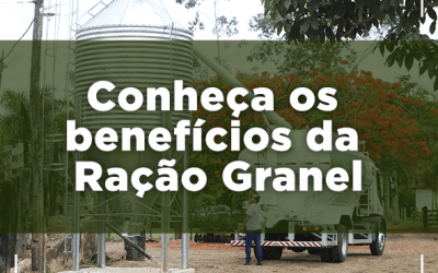 CONHEÇA ALGUNS BENEFÍCIOS DOS SILOS GRANELEIROS