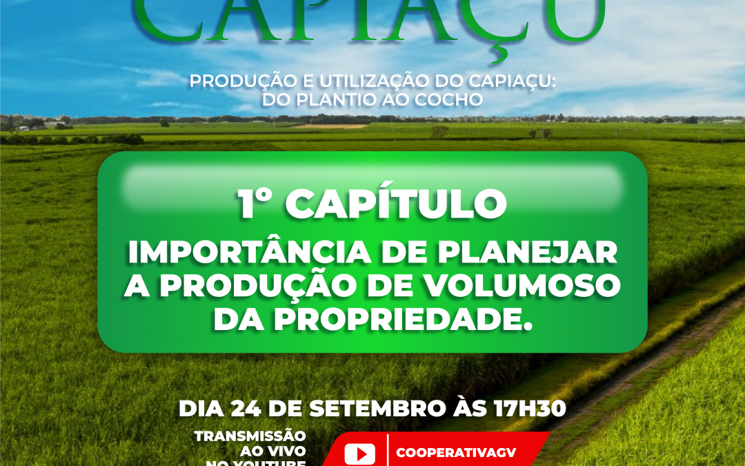 Cooperativa inicia sua Websérie sobre Capiaçu