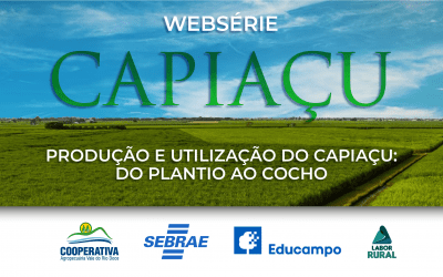 Cooperativa irá lançar Websérie sobre a utilização do Capiaçu