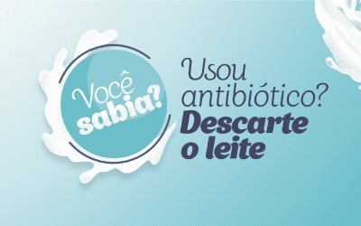 Usou antibiótico? Descarte o leite!